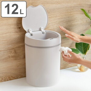 S~ 12L ZT[ J Eh i ݔ 12bg S~   Vv  rO ӂtS~ _Xg{bNX ݂΂  ʏ Q Lb`