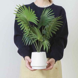 tFCNO[ pi}\E 50cm Z~bN|bg i ϗtA tFCN lHϗtA  A A A[gO[ sv ȒP rO  CeA O[ 