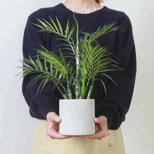 �t�F�C�N�O���[�� �e�[�u�����V ����42cm �y�[�p�[�|�b�g �i �ϗt�A�� �t�F�C�N �l�H�ϗt�A�� ���� �A�� ���A�� �A�[�g�O���[�� �����s�v �������ȒP ���r���O ���� �C���e���A �O���[�� 