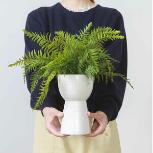 tFCNO[ V_ 40cm Z~bN|bg i ϗtA tFCN lHϗtA  A A A[gO[ sv ȒP rO  CeA O[ ͂