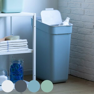 S~ 30L ʃ_Xg{bNX J[o[ i CURVER 30bg ӂt  Ǌ| X^bLO Lb` p^ ܎~ߕt ςݏd  Vv n j y39Vbvz