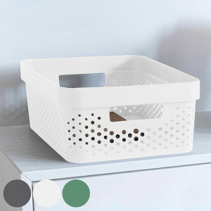 oXPbg CURVER CtBjeB[ 11L [ i 35.6×s26.6×13.6cm  JS [P[X [{bNX ʋC   [ P[X Lb` h[ N[[bg 