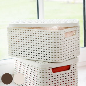 oXPbg CURVER X^C [{bNX S [ i 29.1×s19.8×14.2cm ^  JS [P[X ʋC   [ ӂt P[X  fXN Lb` h