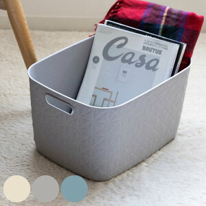 oXPbg \tebNX L 19L CURVER LeBO i 37.9×s29.2×22.1cm  JS t [ Lgn ɋ   [ P[X  \tgoXP