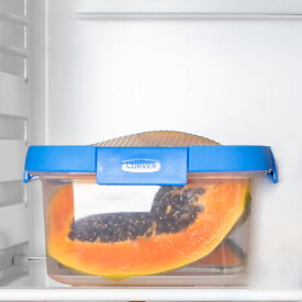 保存容器 Smart Flexi スマートフレキシー 正方形 1.1L （ キャニスター 食品保存容器 プラスチック容器 フードストッカー レンジ対応 食洗機対応 保存ケース 密閉 中が見える シリコン蓋 角型 4点ロック 冷蔵 冷凍 レンジ 1100ml ）【39ショップ】