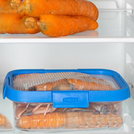 保存容器 Smart Flexi スマートフレキシー 長方形 1L （ キャニスター 食品保存容器 プラスチック容器 フードストッカー レンジ対応 食洗機対応 保存ケース 密閉 中が見える シリコン蓋 角型 4点ロック 冷蔵 冷凍 レンジ 1000ml ）【39ショップ】