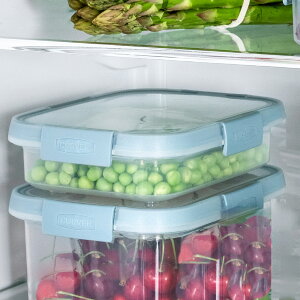 ۑe Smart Fresh X}[gtbV ` 700ml i LjX^[ Hiۑe vX`bNe t[hXgbJ[ WΉ H@Ή ۑP[X   W p^ 4_bN