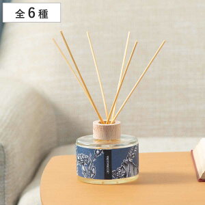 [hfBt[U[ DECORAGLOBA fROo 250ml i fBt[U[ A}fBt[U[ KX F  XeBbN [tOX A} tOX  Q  