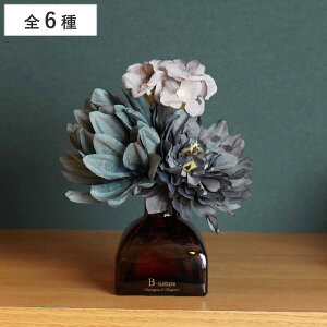 [hfBt[U[ B-nature r[lC`[ t[u[P[hfBt[U[ 100ml i fBt[U[ A}fBt[U[ KX F  [tOX u[P  A