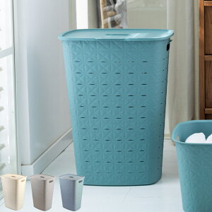 h[oXPbg CURVER \tebNX t^t 56L i J[o[ Softex oXPbg h[ t   E߂ 󂩂 Wt [   Eߏ LeBO 