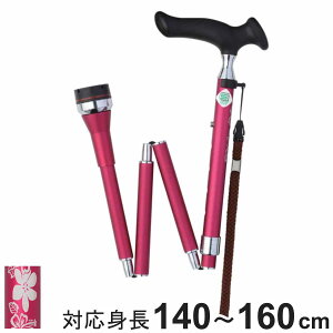  邪 XebL [^[ ܂肽   i 5iK ܂ RpNg Ռz  cG A~ ԕ Oo U ɂ オ₷ オ⏕ ]