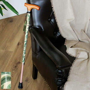  EBAX EB[{E Lk y    i Lk 10iK  EBAEX Xgbvt ɂ s⏕ Oo U ]|h~  pi 