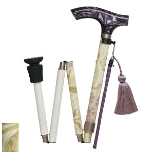  EBAX WX~ ܂肽 y    i Lk 5iK  ܂ Lk EBAEX Xgbvt ɂ ^ s⏕ ]|h~ 