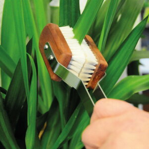 Redecker fbJ[ ϗtA uV [tuV 35cm i A ق ϗtApuV |uV Rr ؐ hCc  CeA t ق PApi  Rr