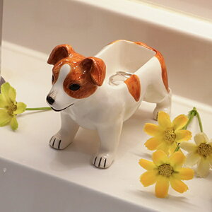  ANZT[ bZeA  [ i ANZT[ nR WG[z_[ u IuWF CeA G  ~j`A [  rO ʏ f