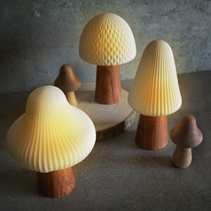 e[uCg Lumo LEDt Z~bN }bV[ i ^C}[@\t CeA Cg Ɩ  LED R[hX dr u^  ̂ RpNg  킢  k