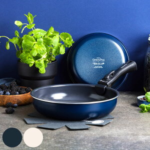 GREEN PAN NbNVFt tCp 4_Zbg Enht i O[p Zbg IHΉ KXΑΉ mXeBbN tCpZbg I[uΉ uߓ ߓ }Oj[gH 