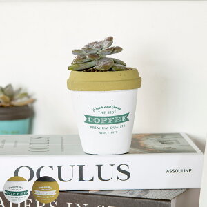 v^[ A|e t[|bgA STCY i Aؔ vg|bg Zg|bg   A Zg |bg   CeA t[|bg Aւ  