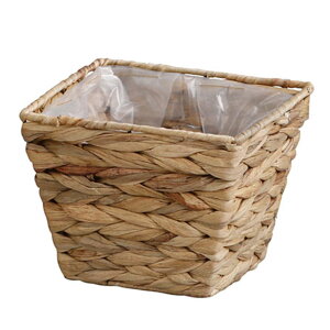 Jo[ qVXoXPbg XNGA STCY i AؔJo[ oXPbg Aؔ Jo[ vg|bg Ap|bg Ԋ |bg p |bgJo[  Ԃ A  ϗtA Ce