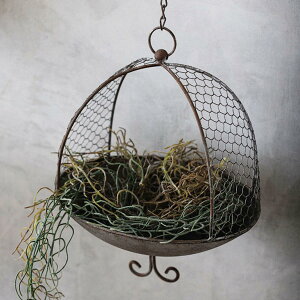 o[hnEX nMO o[htB[_[  K[fG i v^[  K[fjOpi CeA t[  Aؔ P[W AؔX^h nLO X^h v