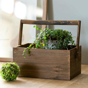 [ hD[ t ؐ [{bNX  25.5×s16×12.5cm i [P[X ؔ  P[X  [ t VR c[{bNX CN{bNX ^