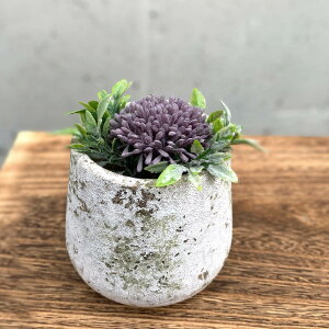 Aؔ XeB[N GbO|bg S a11cm t[|bg i vg|bg v^[|bg  A Zg |bg   CeA Aւ  ϗtA 