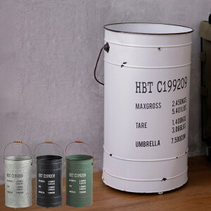 P y[J Xg[W MTCY a23.5cm i 42cm AuX^h P JT Pu ֎[ AeB[N  [ fBXvC   RpNg X 