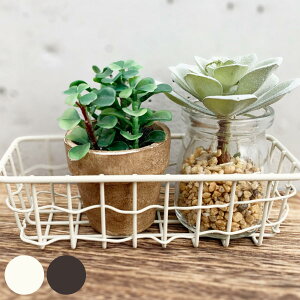  XEF g[ S  17×s7×5cm i [ [ oXPbg C[oXPbg ^ X ACAoXPbg C[g[ JS p^ C[ ACA [o