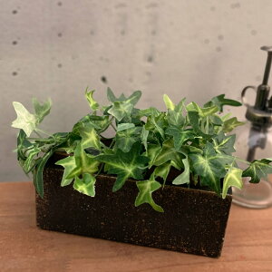 Aؔ mI[ Ng|bg i A  |bg vg|bg Zg|bg  O[|bg Zg K u A ϗtA  T{e | A K[fjO 