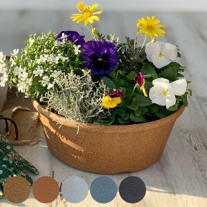 v^[ GRv^[^ a30cm ؕ i Aؔ vg|bg Ap|bg Ԋ |bg vX`bN    v ؕ A[u VRf GR|bg  񂹐A 