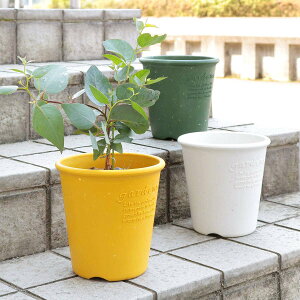 Aؔ GR|bgی^ 6 Î i v^[ vg|bg Ap|bg Ԋ Jo[ |bg vX`bN 6  AؔJo[ v Î psG VRf GR|bg ϗtA