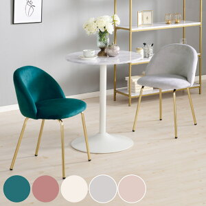 _CjO`FA ʍ46cm xA i `FA ֎q fXN`FA hbT[`FA LX^[Ȃ h~NbVt  S[h r i ؍ k jy39Vbvz