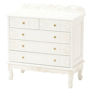 `FXg 80cm o5t Pn Lr i BIb^ i ^X ߗގ[ rO`FXg Ƌ ؐ o ^X lR lRr zCg  80 5t AeB[N AeB