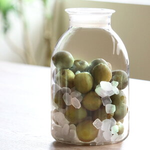 nI ۑт 2L KX̎dۑт i HARIO ϔMKX KX  dqWΉ H@Ή MOK { ʎт ۑe ۑr т r ~т ~r KXe 