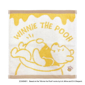 ~j^I 25×25cm u[v[ ܂̃v[ i ^I 100 @^I @ ^InJ`  Disney 25×25 oXpi fC[^I oXObY v[ jy39Vbvz