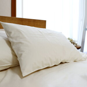 Jo[ 2 h_j 100 x 35×55cmp { i  Jo[ s[Jo[ s[P[X ܂Jo[ I[KjbNRbg t@Xi[t ϋv Q F Y u n 