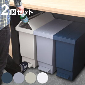 ゴミ箱 32L 同色2個セット バタフライペダルペール ふた付き （ 45Lゴミ袋対応 45リットル袋対応 ごみ箱 32リットル 両開き 棚下 スリム 分別 ペダル式 シンプル キッチン カウンター下 ）【39ショップ】