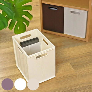 [ [{bNX L[BOX X[^ [P[X 19.5×s26×26cm i Ci[{bNX d؂ vX`bN J[{bNX Ci[P[X vX`bNP[X [ XgbJ