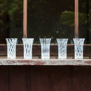 AcɎq OX 120ml r[ ܋q i KX rAOX r[OX  Rbv Jbv  rr[ { r[  AR[ ˔ v[g jy39Vbvz