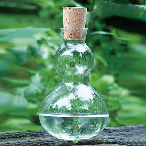 AcɎq sb`[ 580ml  Ђ RN i KX { ԕr t[x[X |bg {g Ђ傤^ Vv  KX jy39Vbvz