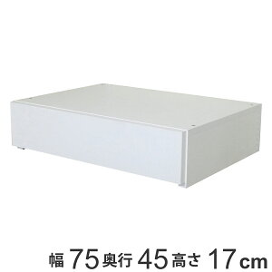 �ǖʎ��[ �t�B�b�g���b�N ���^�����o��1�i ��75cm �i �������� �p�[�c �I�v�V���� ���i DIY ���[ �������[ �������� �����o�� �ςݏd�� �`�F�X�g �N���[�[�b�g �L�����p ��i ���C�h ���o�� ��