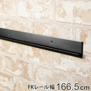 壁面収納 FKレール 幅166.5cm フィットラック ブラック ( 送料無料 幅1665mm 壁面 棚柱 支柱 レール DIY ダボレール 収納 棚受け金具 棚受けレール 黒 棚 可動 支柱レール ラック クローゼット 有