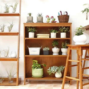 {I 70cm 3i VR hommage I}[W i bN I Jg[ ɖ{bN ԑ ؐ I X ړIbN VFt I wʉ jy39Vbvz