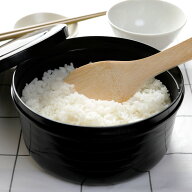 おひつ 2合 SUMINO ご飯が炊けるおひつ （ 電子レンジ炊飯器 炊飯 1合炊き 2合炊き 電子レンジ対応 食洗…