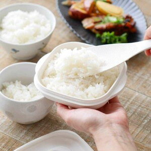 Ⓚїe most  𓀂 3g i ۑe vX`bN R Ⓚ  ͂e { WΉ Ut ̂   ^ ۑ ͂ۑe  Ⓚ