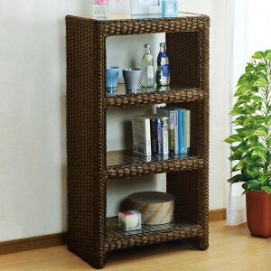  [bN 4i KXVt 60cm i  fBXvCbN I[vbN I {I [ ^ i bN rO[ ԑ ُI uE AWA  j y39