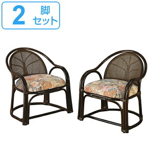  A[`FA[ nC^Cv 2rg ʍ36cm i  ֎q ^`FA ^ p[\i`FA ِ֎q `FA rO`FA a_ a AWA I|t NbV 