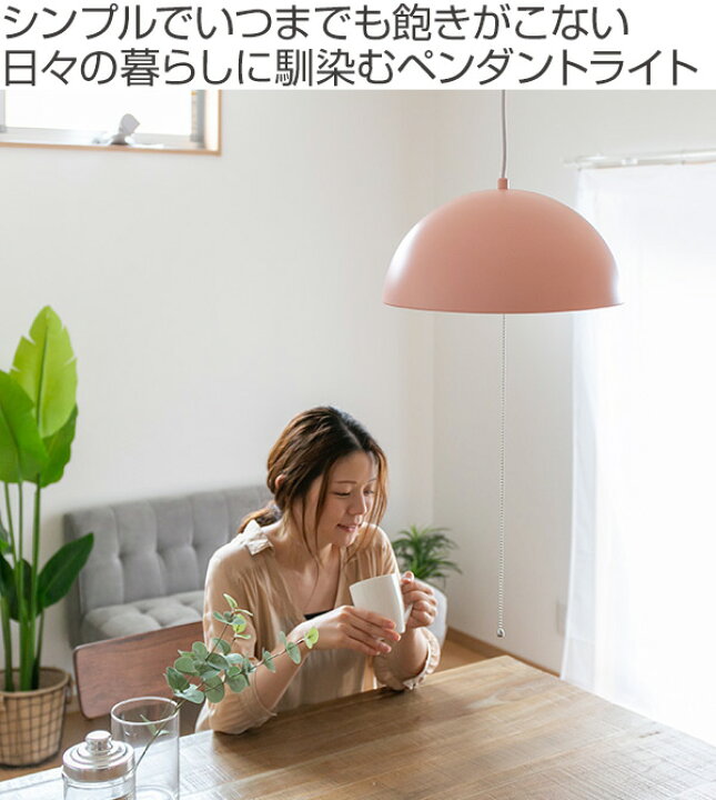 楽天市場】照明 2灯 ペンダントライト ドーム LED対応 スチール 天井  