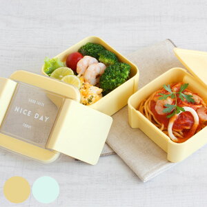 お弁当箱 イージーケアランチスクエア2段 680ml ( 弁当箱 ランチボックス パッキン一体式 レンジ対応 食洗機対応 大人 女子 レンジOK 食洗機OK 二段 弁当 お弁当 抗菌加工 透明蓋 )【39ショッ