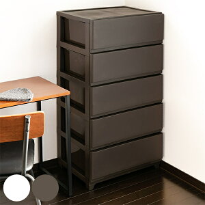 `FXg 54×s41.5×106.1cm 5i Ch i  vX`bN X`FXg X ^X o   vX`bN`FXg [P[X ߗގ[ rO [ { 